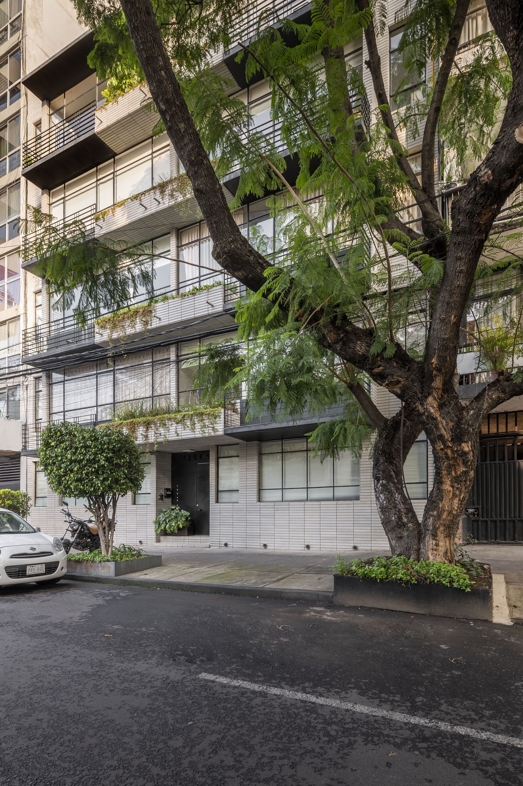 Pachuca 81 建筑改造丨墨西哥墨西哥城丨Namikase Studio-8