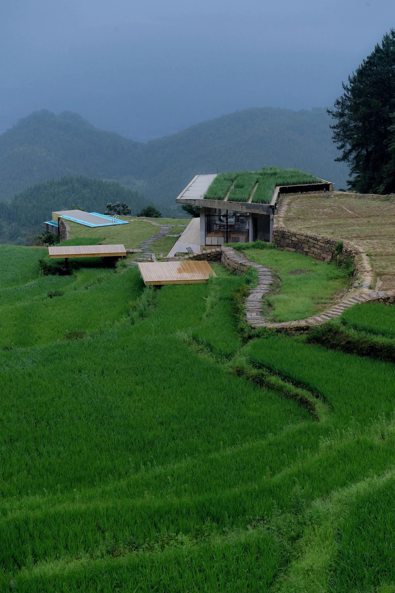 重庆飞茑集 | 睡入云端,尽享清凉山城田园生活-37
