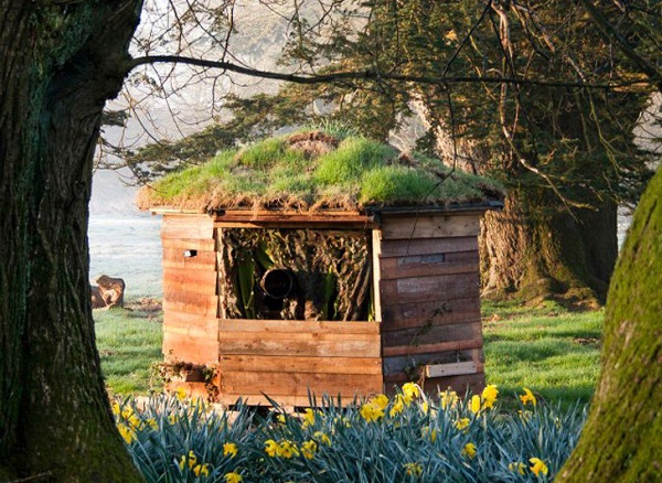 六角形观察白化松鼠栖息地丨英国-7