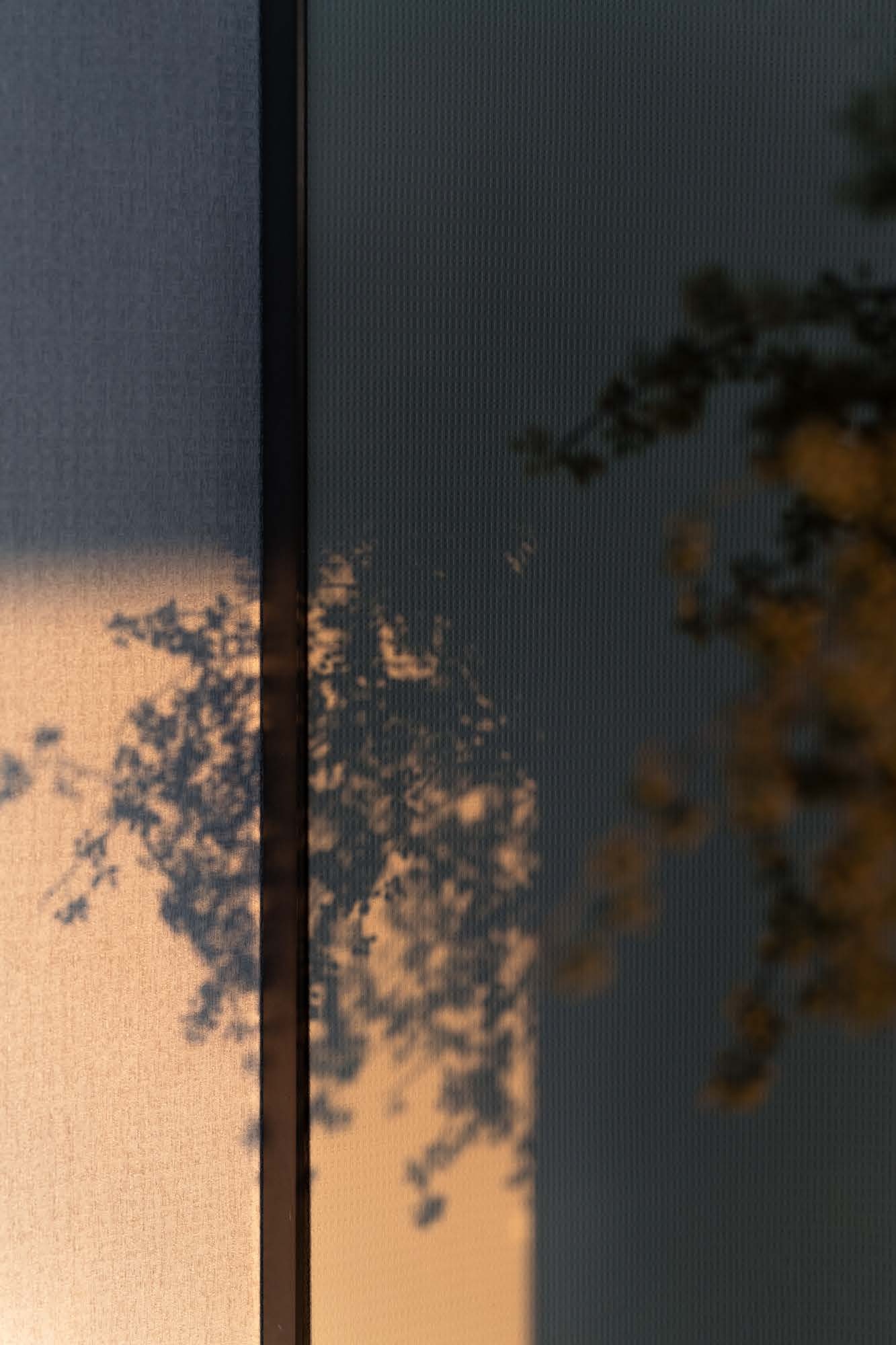 自然为境 向光而居丨唐忠汉-10