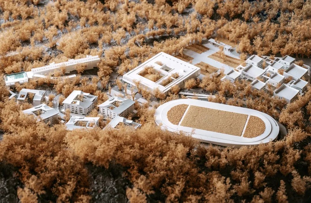 海边的“童年”高校 · 立木幼师学校丨立木 L&M-33