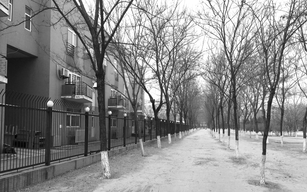 经开区9号绿地景观提升项目(海棠公园)丨中国北京丨北林地景-35