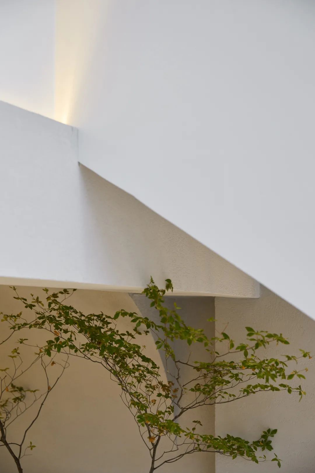 JUSEN巨森DESIGN丨中国常州-14