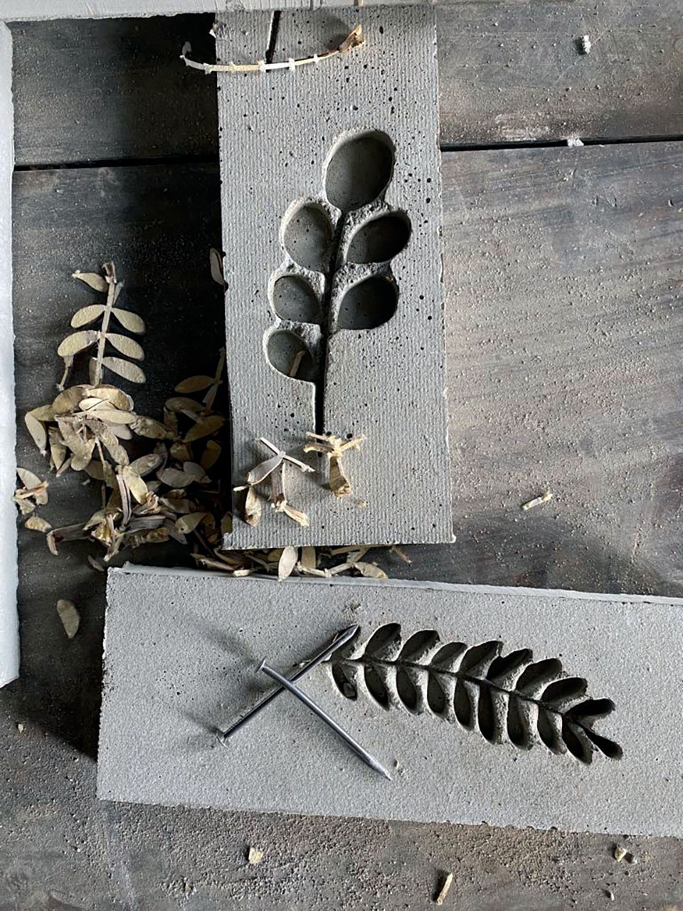 千朵花之家丨意大利丨Ceresa Grandis Architetti-12