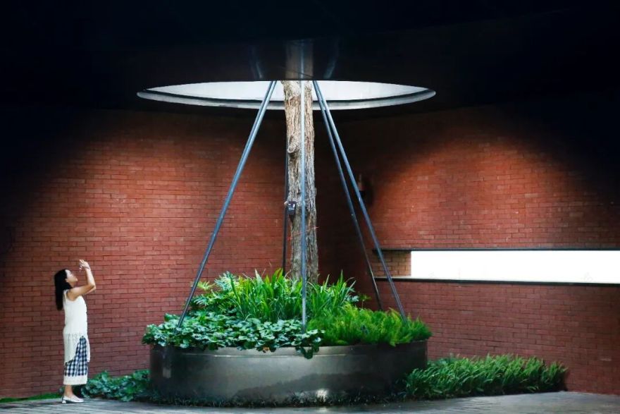 南山中集太子湾大成广场园林景观工程丨中国深圳-19