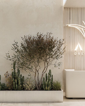 加拿大日式斯堪的纳维亚风格美容诊所设计丨Sviatlana Bareika