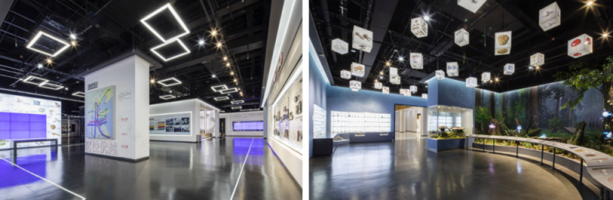 邹城市蘑菇展览馆丨同圆设计集团股份有限公司-60