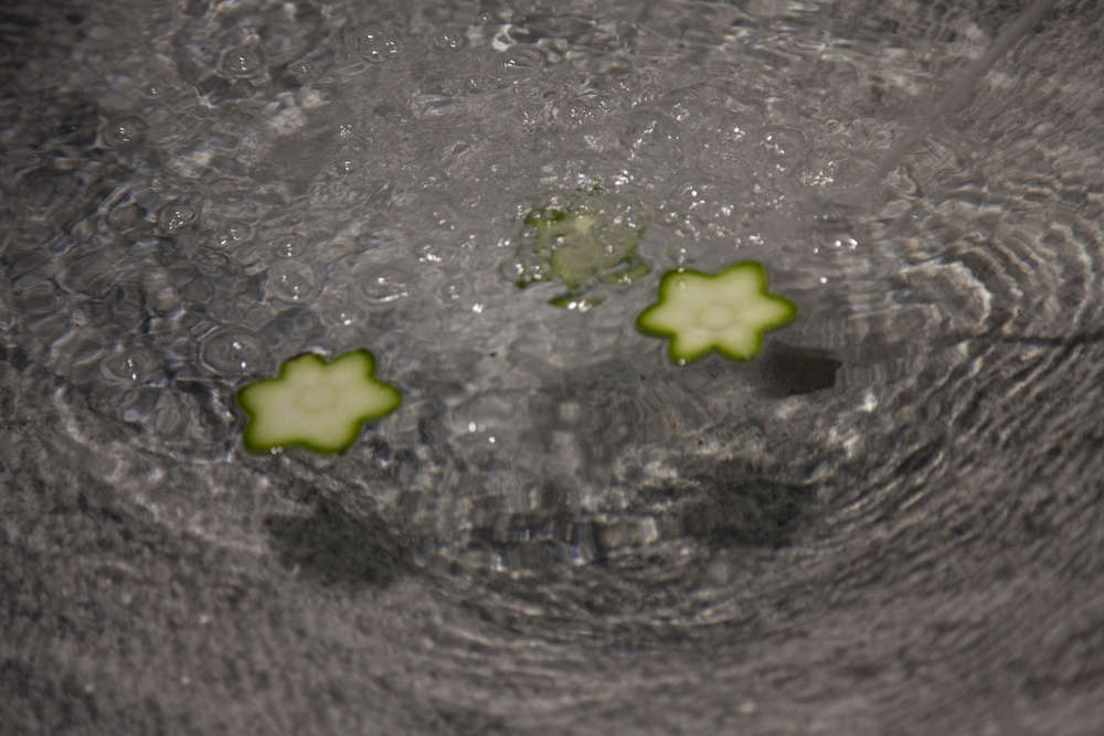 星座丨Daniel Zamarbide,Leopold Banchini-23