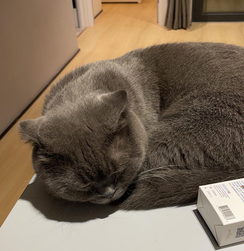 喵星人的简约温馨小窝-18