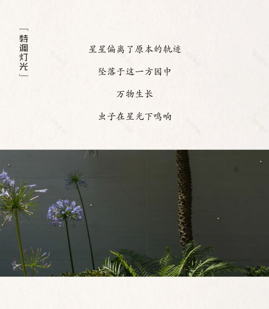 橱窗花园 · 打造城市中的自然绿洲丨中国金山丨MUSO DESIGN-28