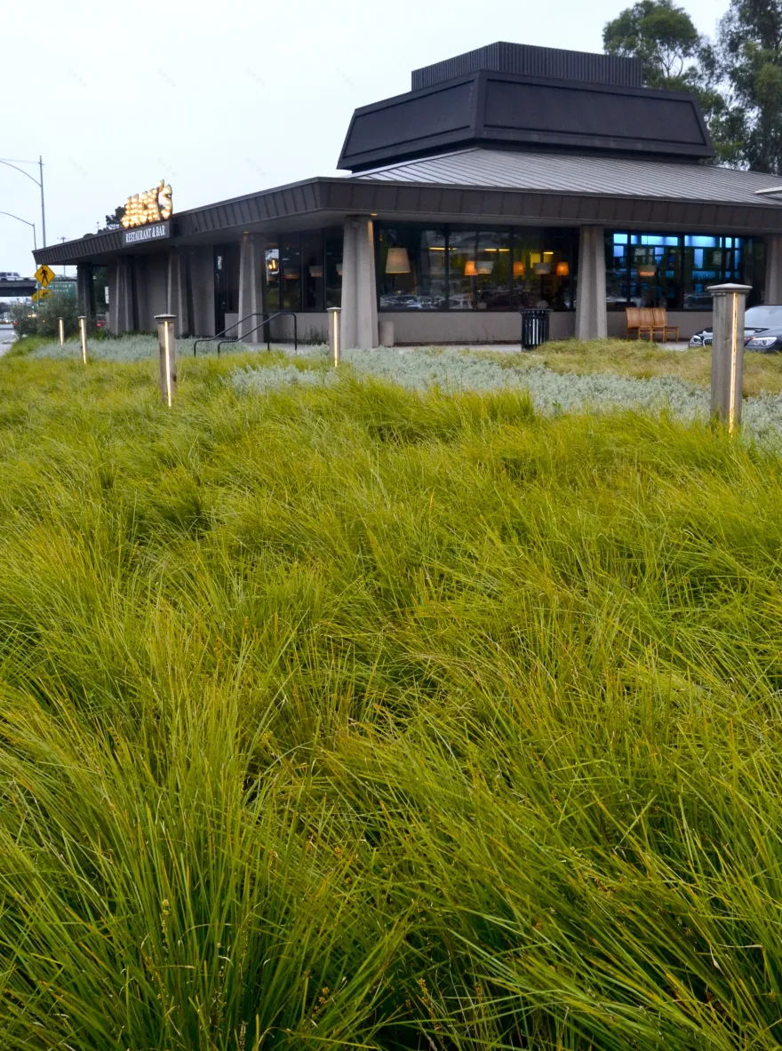 JACKS RESTAURANT — Studio Green-5