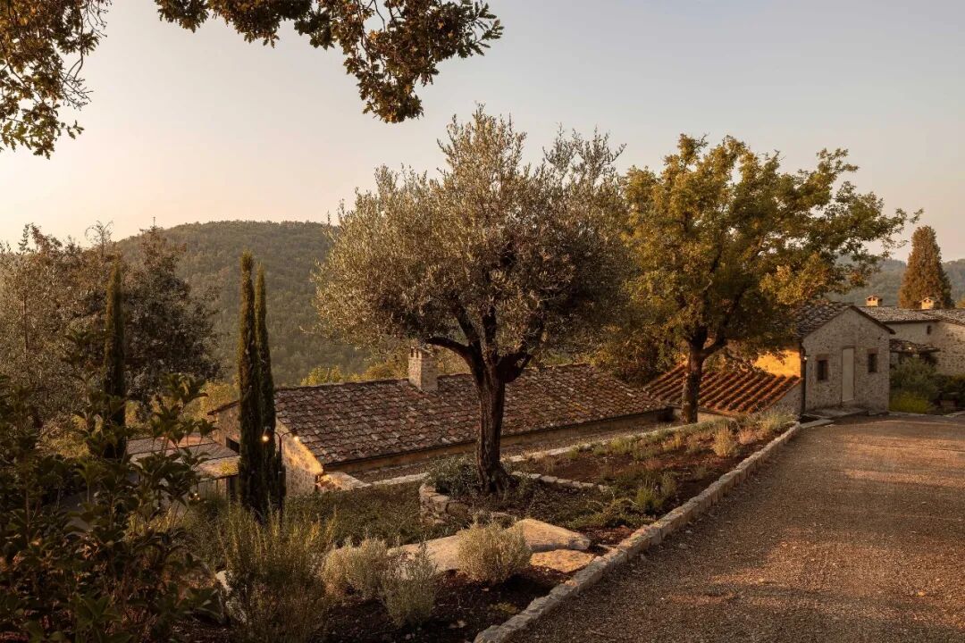 卡萨拉斯玛格丽塔斯公寓（Casa常见指房子、公寓等，由于缺乏更多背景信息，一般以公寓来常见处理，但根据具体场景这里也可能表示其他场所；Las Margaritas音译过来是拉斯玛格丽塔斯 ，它可能是具体的人名、地名等，可根据实际情况进一步确认指代对象及更合适的译法，如果是酒店、度假村等也可纠正信息重新让我翻译 ）丨哥伦比亚丨Trópico Arquitectura-66