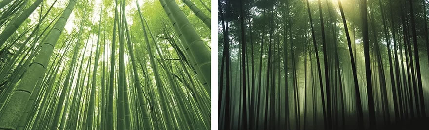 苏州西交利物浦大学体育馆-7