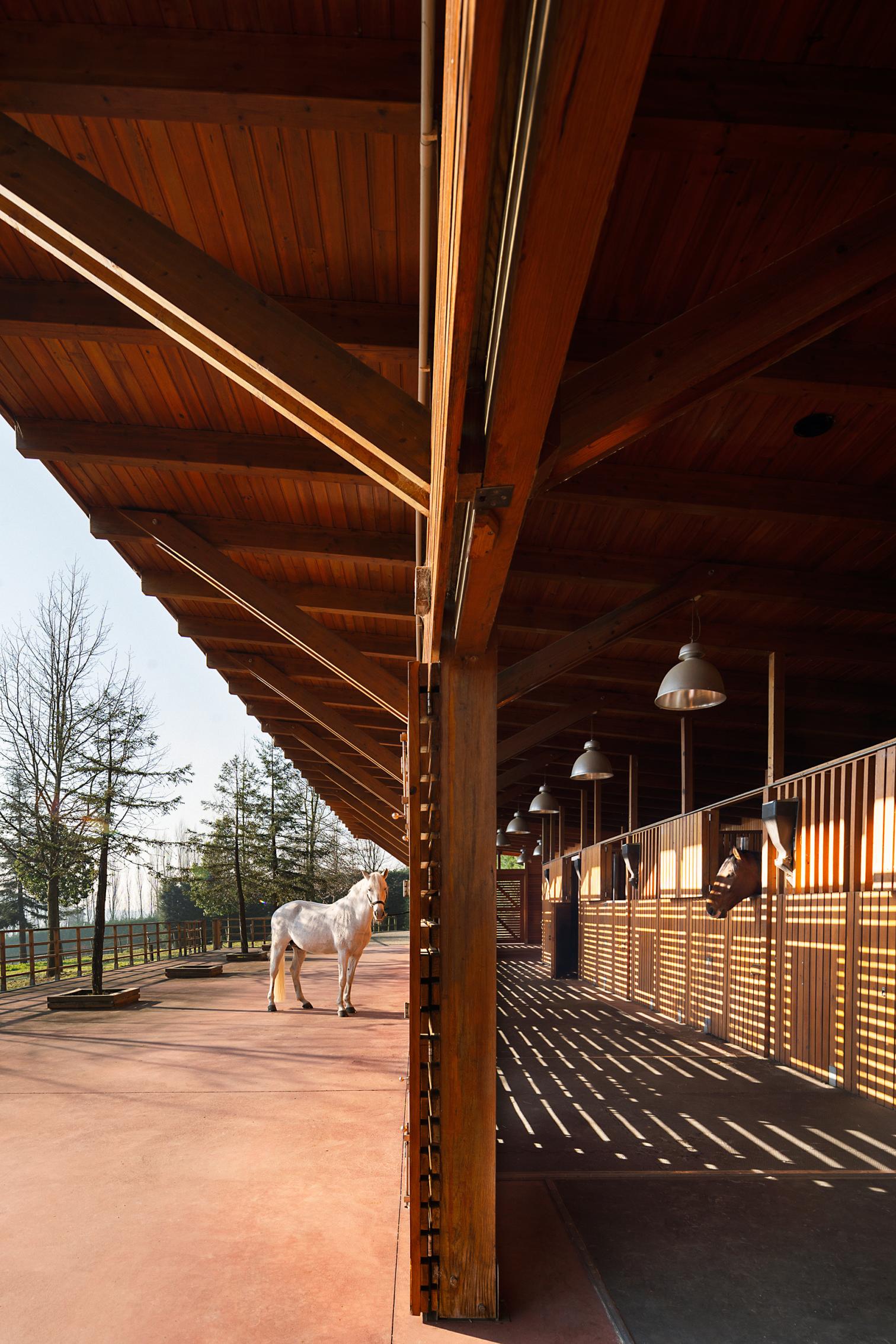 葡萄牙 São Cosme do Vale 马术学校丨Visioarq Arquitectos-13