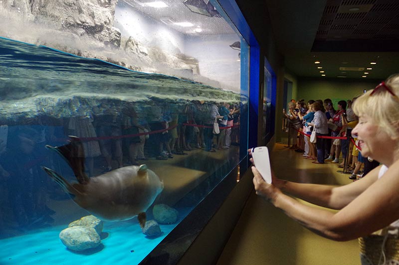 “Moskvarium”海洋馆丨俄罗斯莫斯科丨Aqua Logo Engineering-152