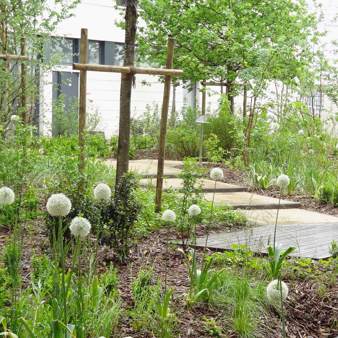 Programme de logements Cogedim - ZAC de la Marine - La Compagnie du Paysage-25