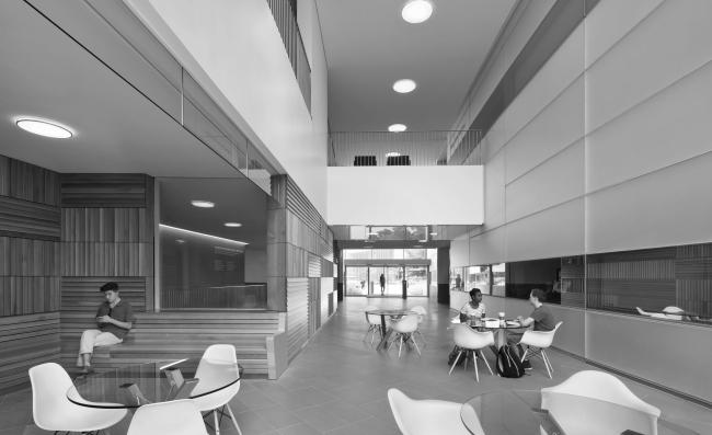 普林斯顿大学神经生物学与心理学综合体丨美国新泽西丨拉斐尔·莫内奥,Davis Brody Bond-36