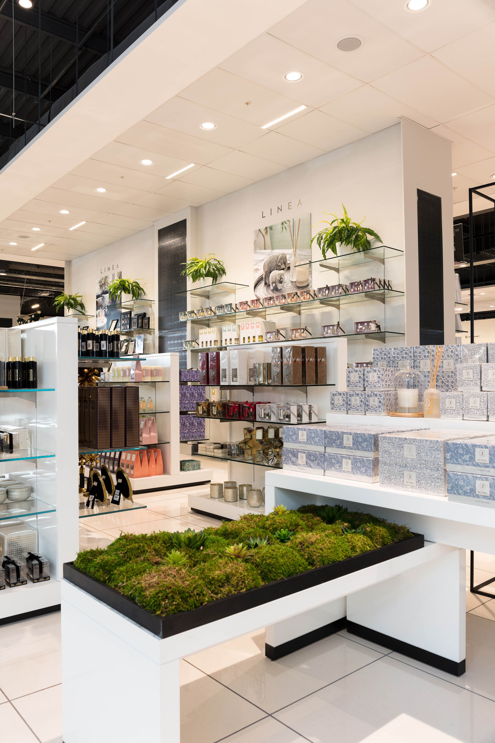 Rushden Lakes House of Fraser 绿色旗舰店 | 自然、时尚与环保的完美融合-45