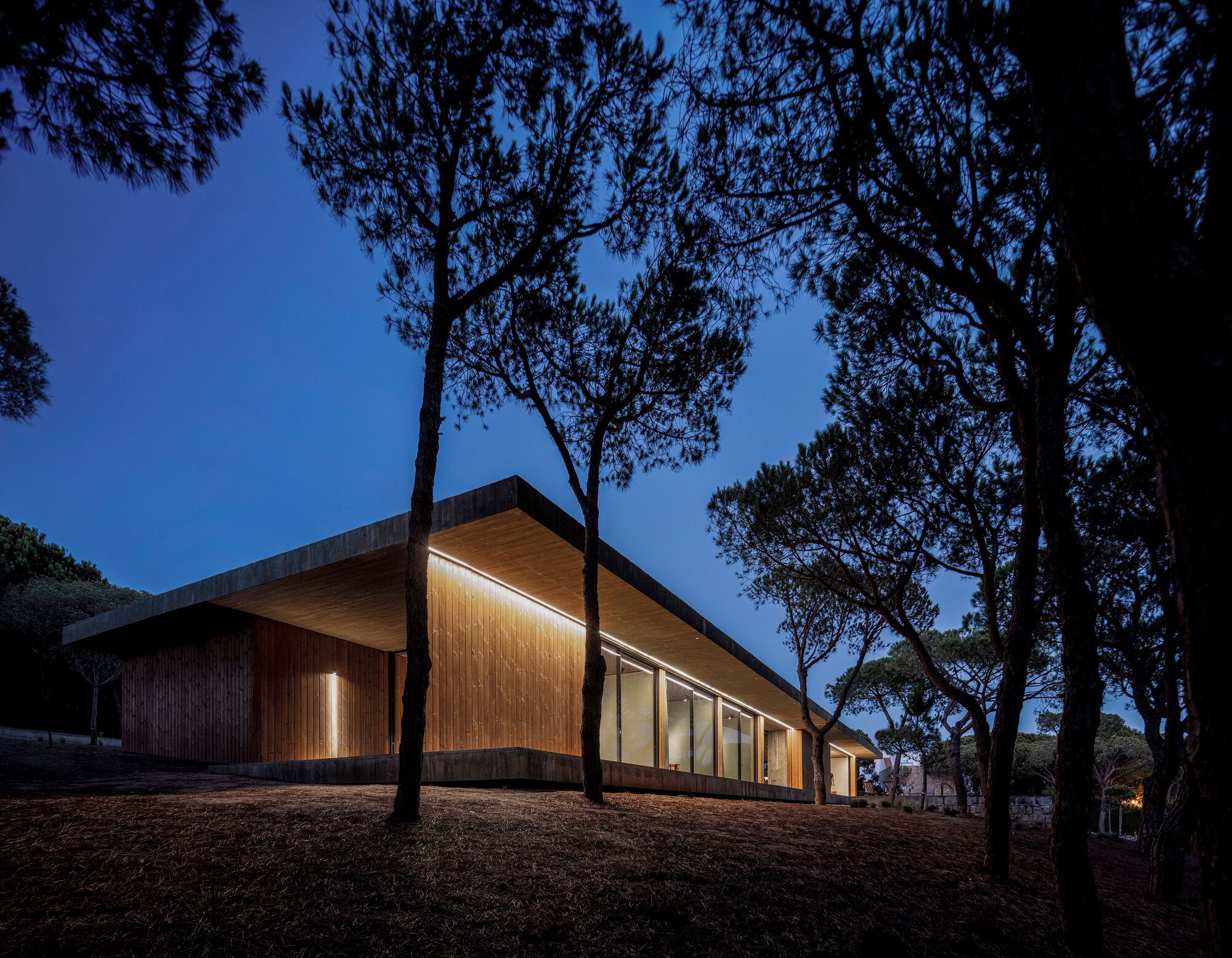 普拉亚韦尔德的房子丨葡萄牙丨Atelier Central Arquitectos-54