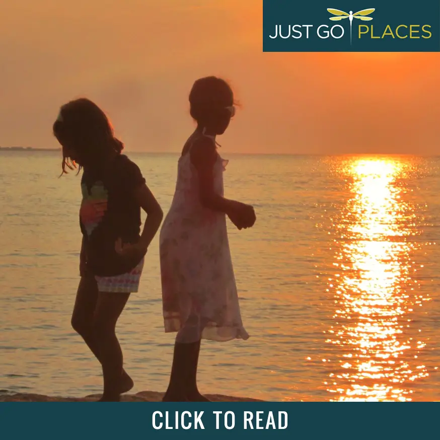 Mocha猫咖（原宿店）丨日本东京-55