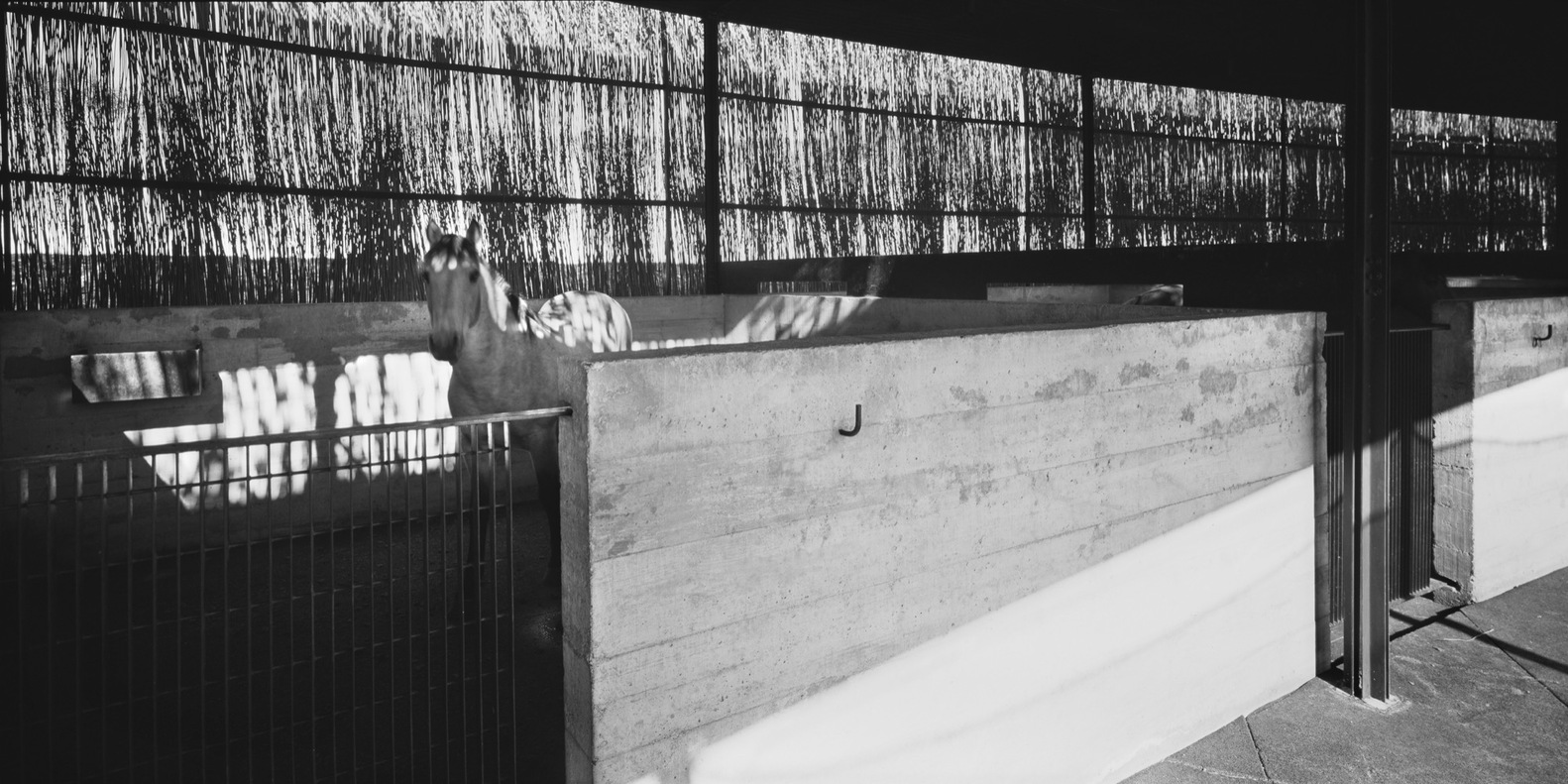 智利马匹养殖主之家·人马和谐共处的人居环境-66