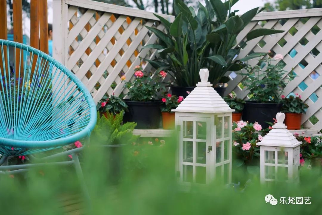 乐梵园艺打造成都花木博览会快闪花园,惊艳全场-94
