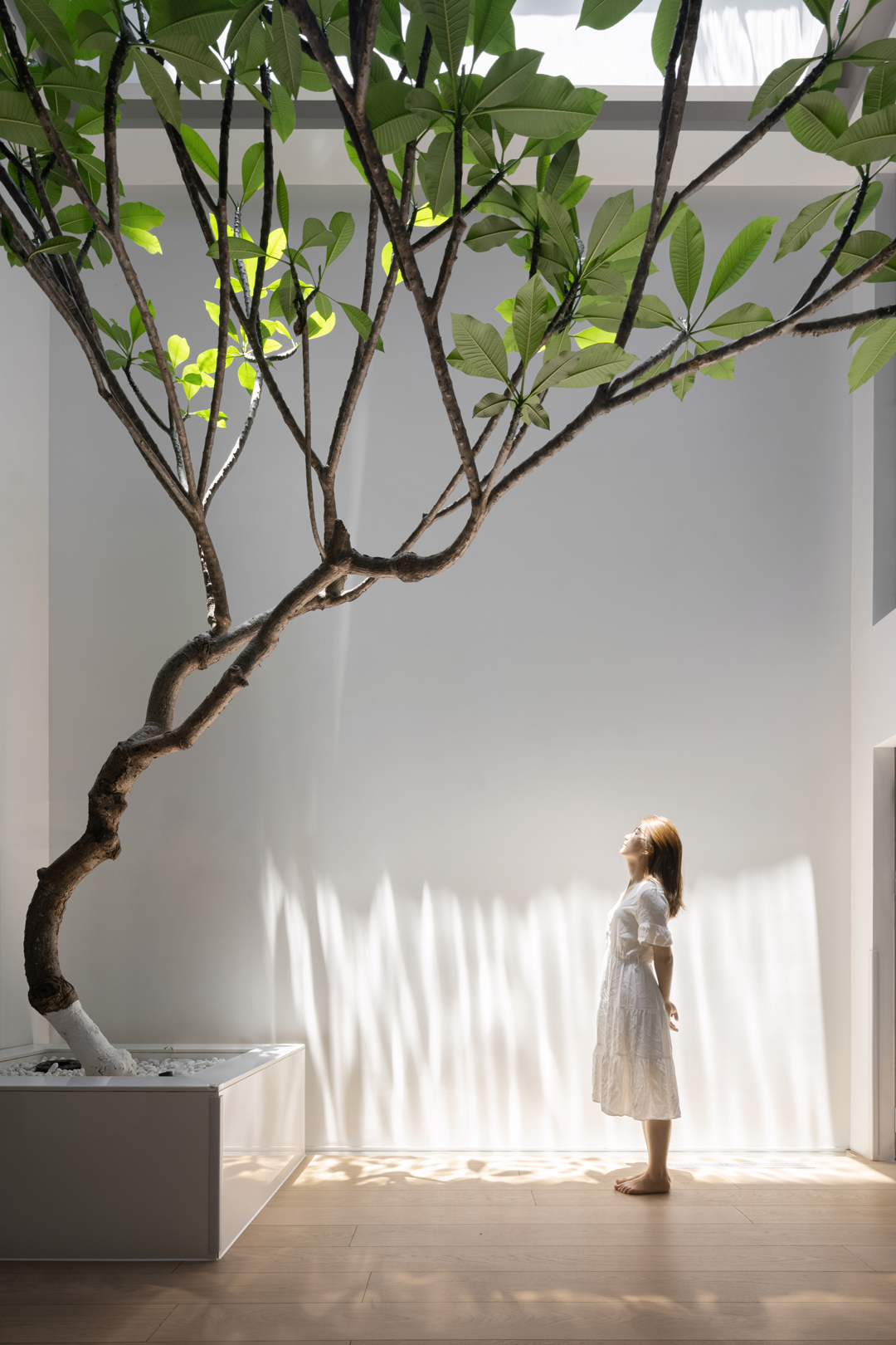 二十四院丨中国南京丨陈熠,肖锋-0