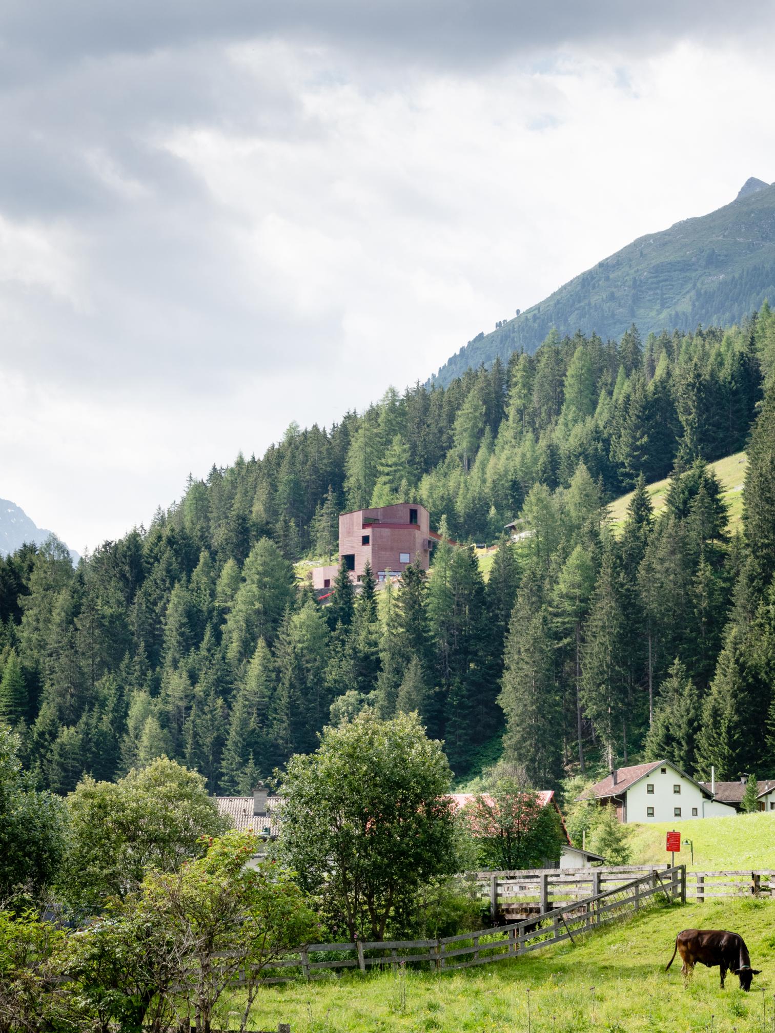 山林间的灭绝动物博物馆丨奥地利蒂罗尔-10
