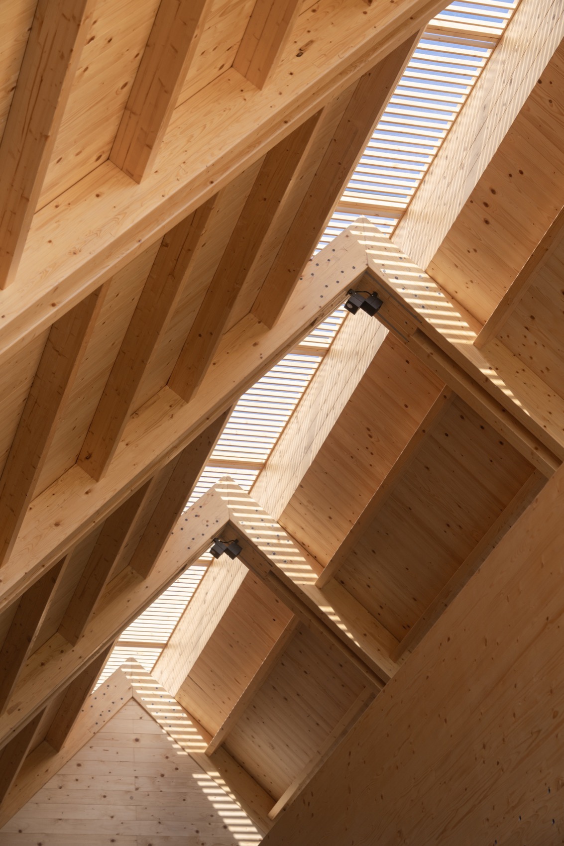 江山万里  萌宠乐园丨中国宁波丨a9a建筑设计事务所-41