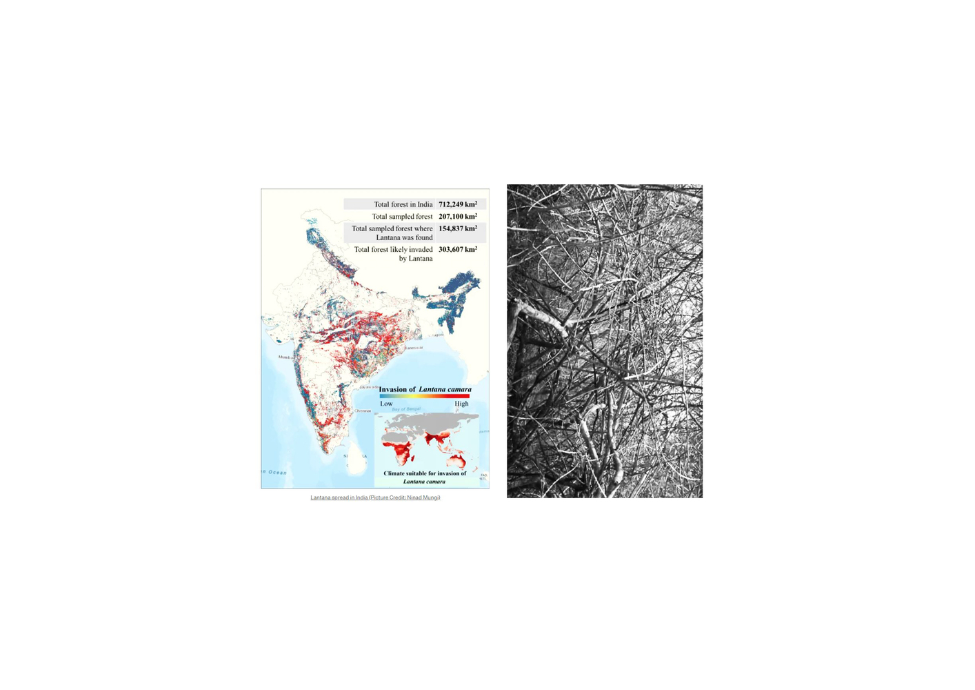 Como Agua 餐厅丨印度丨Otherworlds-30