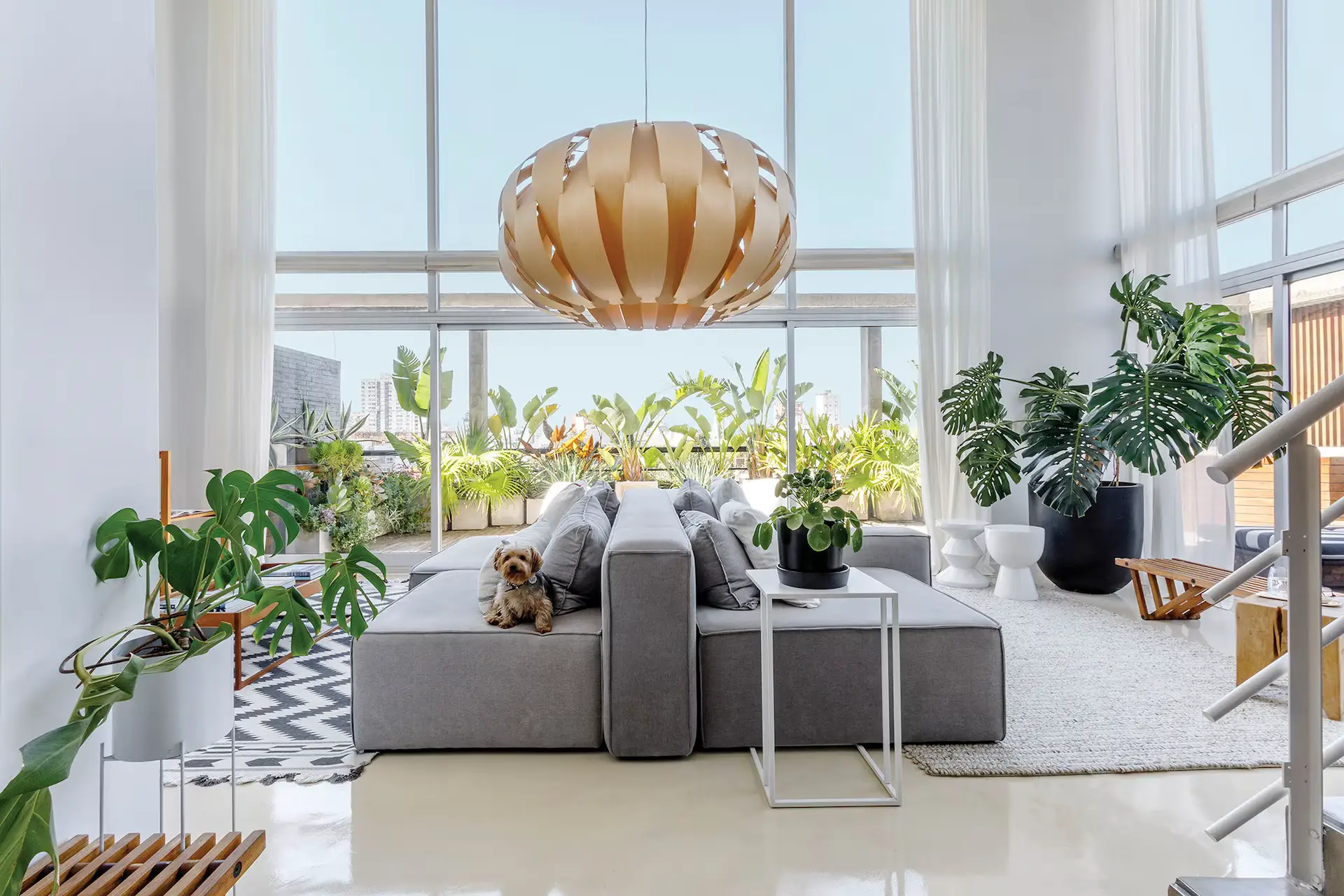 建筑师 Giselle Chaluet 的明亮设计公寓-4