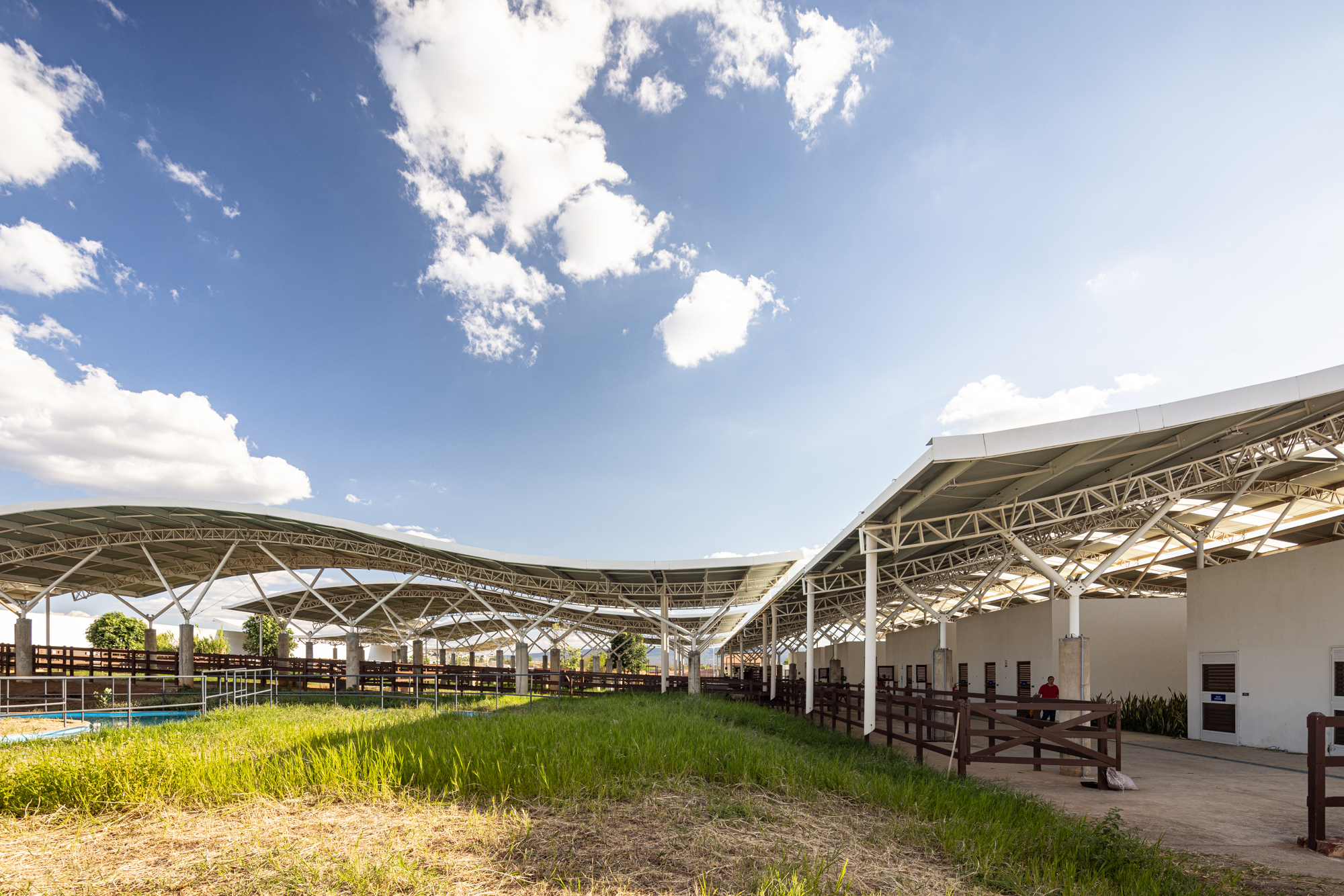 Unileão 兽医学院医院丨巴西丨Lins Arquitetos Associados-45