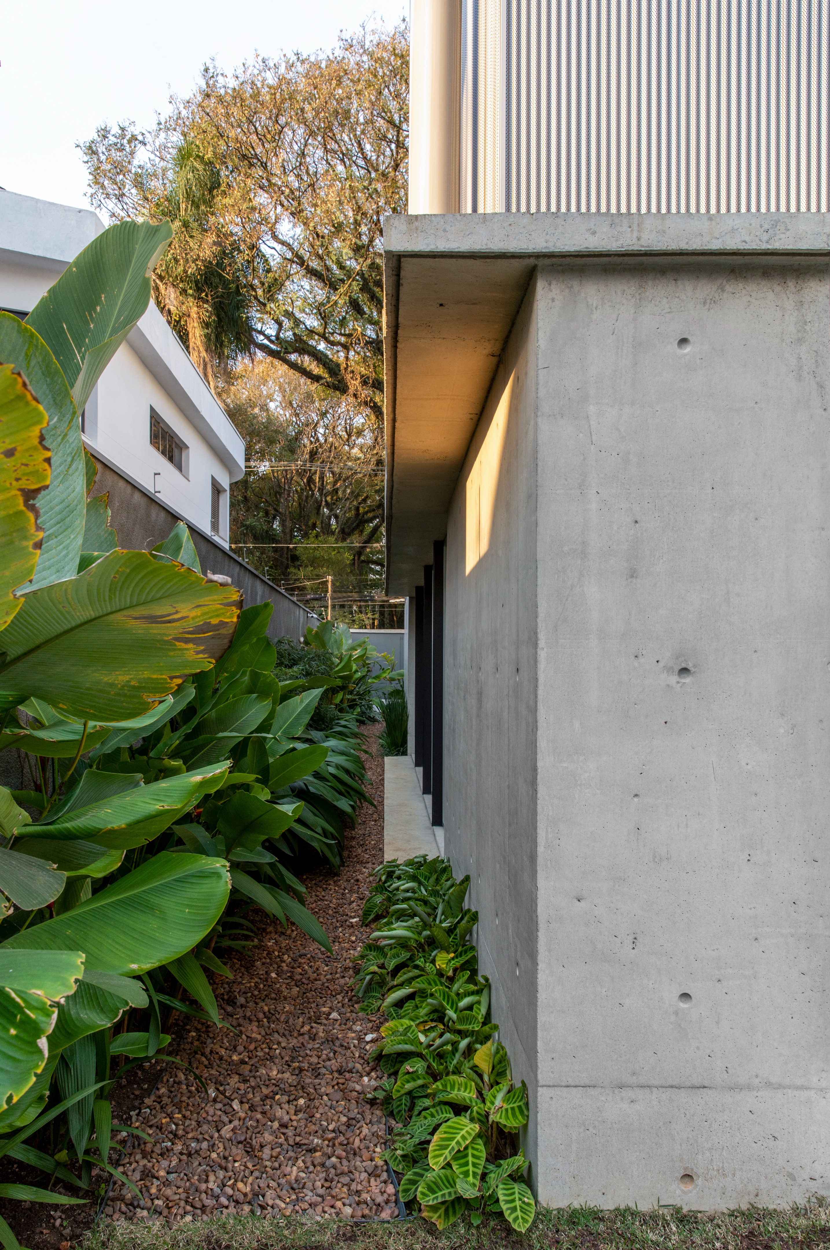 Casa B 住宅丨巴西圣保罗丨Acayaba + Rosenberg arquitetos-39