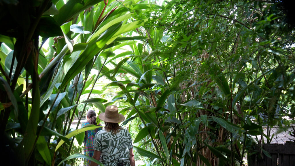 适应家庭需求的花园景观项目丨阿根廷布宜诺斯艾利斯-17