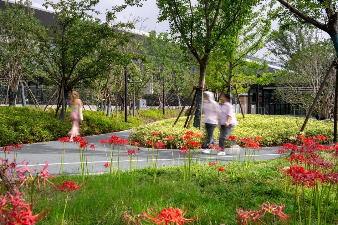 阿里巴巴西溪全球总部园区（C区）丨中国杭州丨ASPECT Studios-32