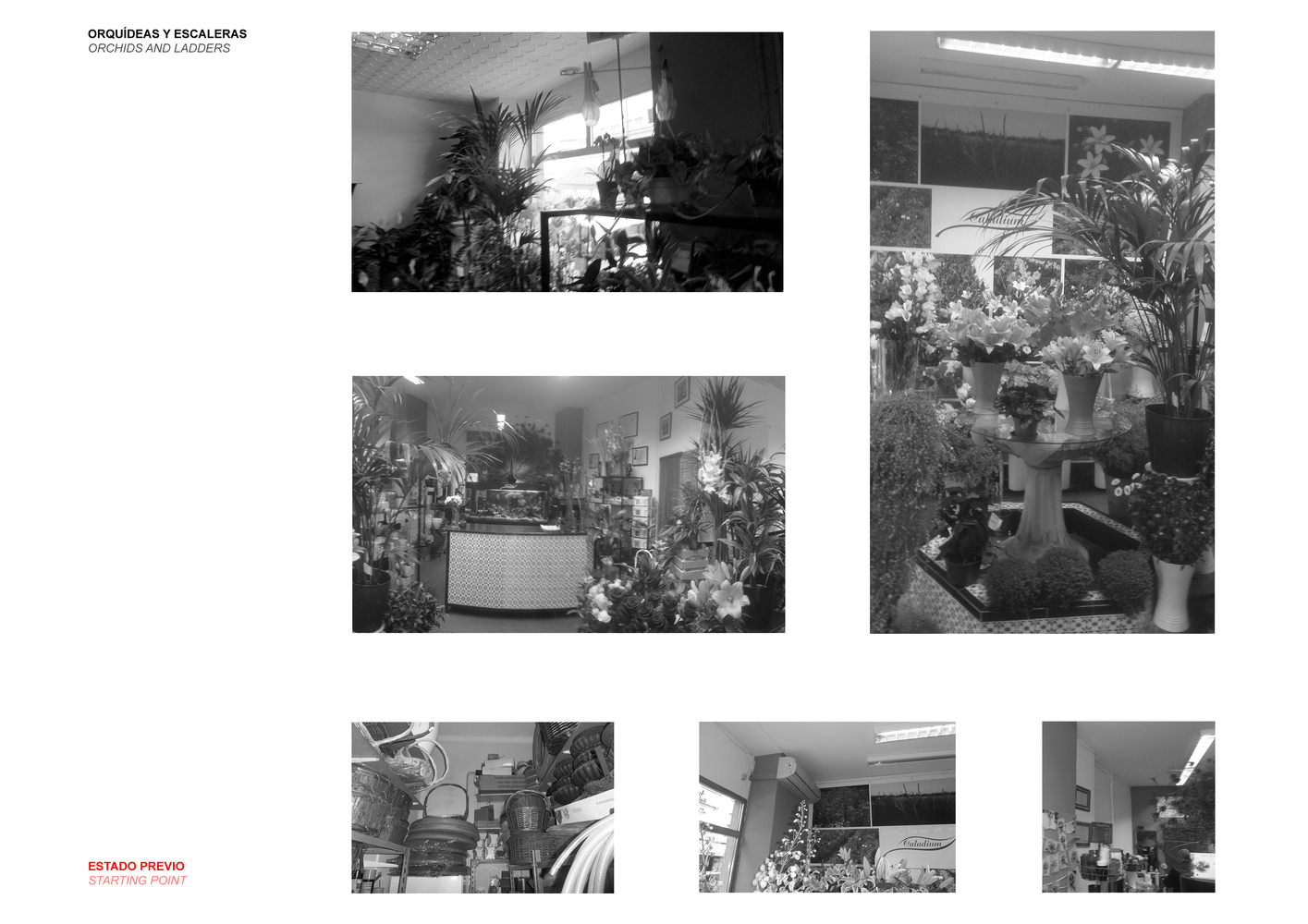 兰花梯子的奇幻空间-39