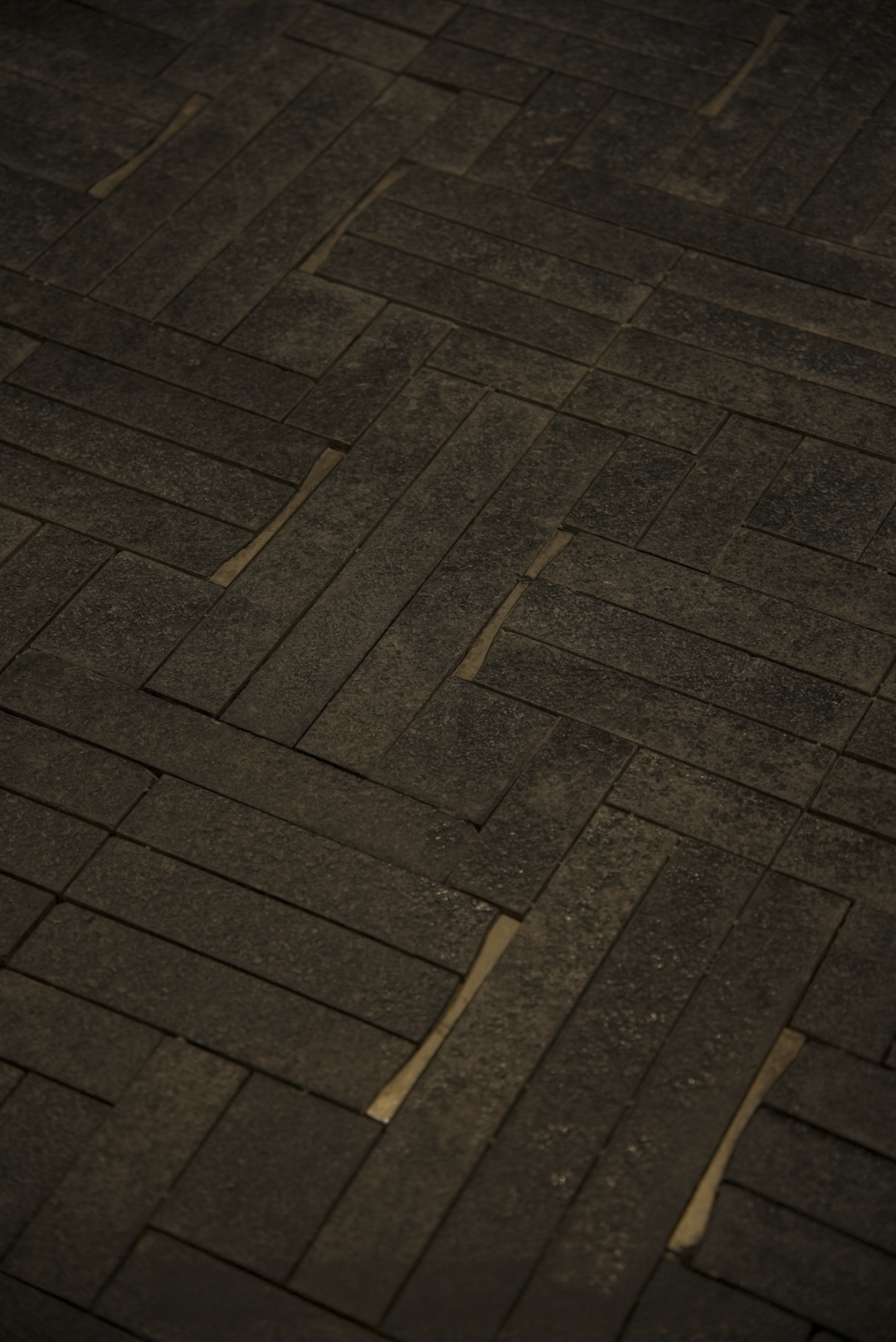 南京江宁金茂府丨中国南京丨JTL加特林,成都魏玛景观规划设计有限公司-66