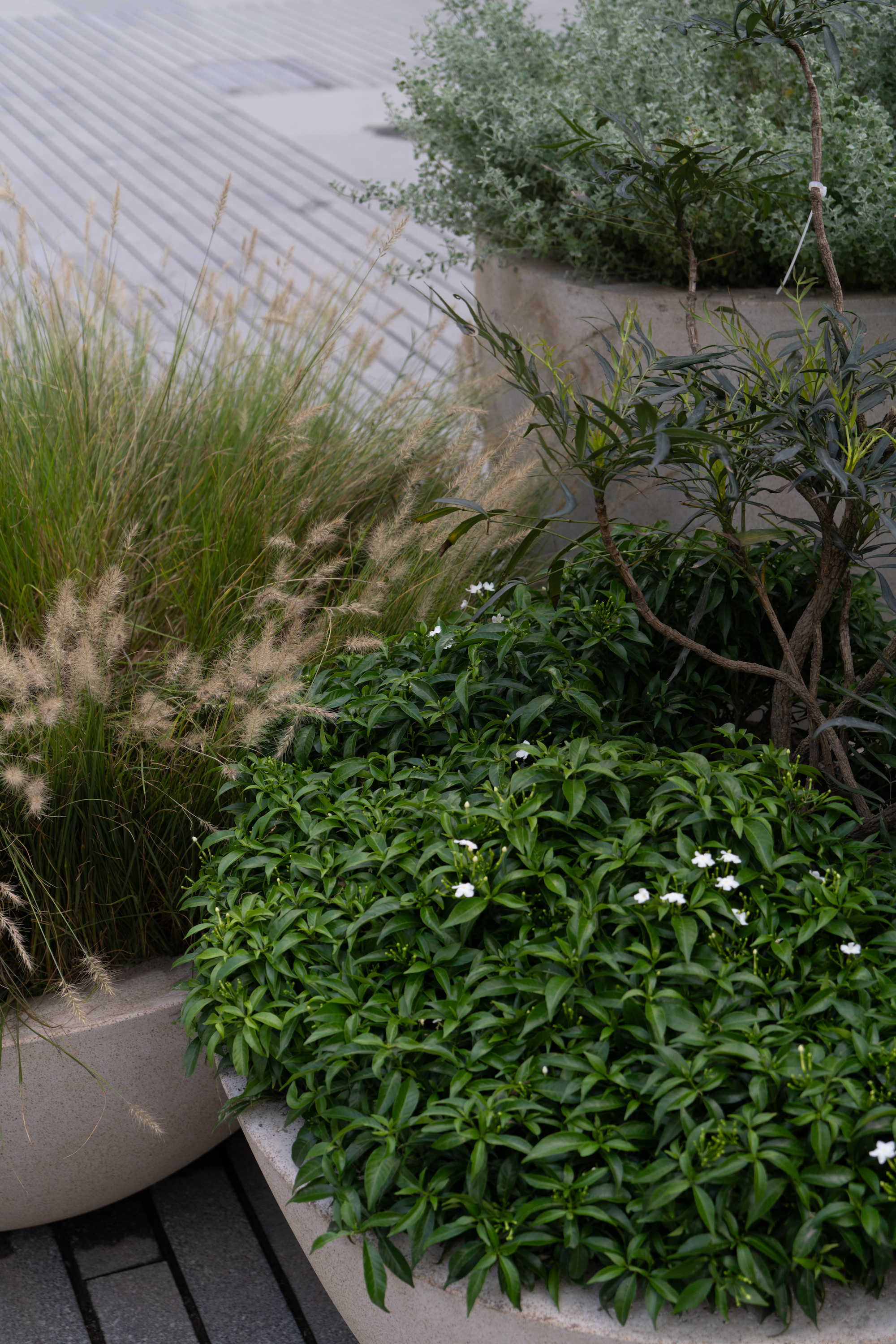 杭州亚奥万象天地景观提升:让自然回归，让生活回归 丨中国杭州丨风物营造-50