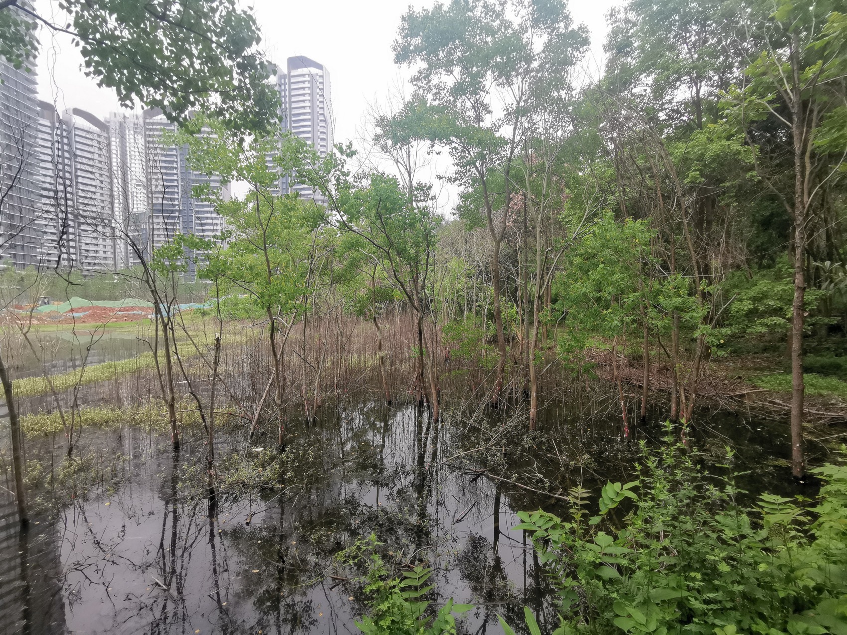 麓野公园丨中国成都丨四川乐道景观设计有限公司-223