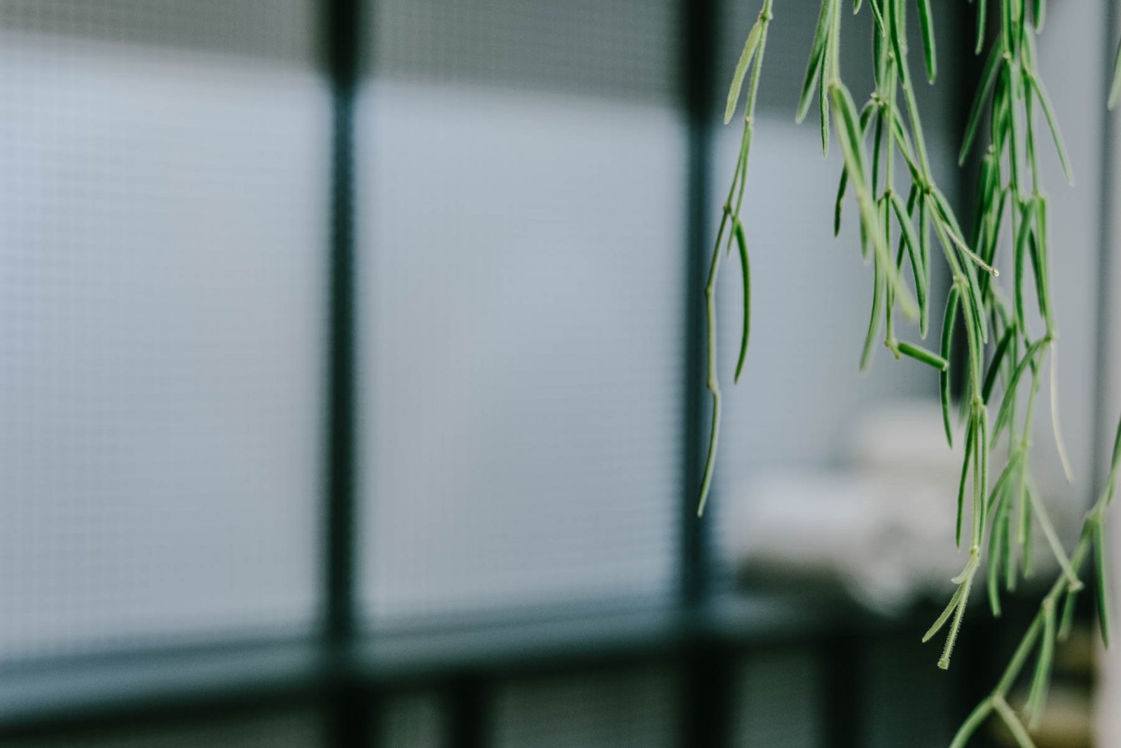 休闲清新的YOKO瑜伽工作室  dizaino virtuve-26