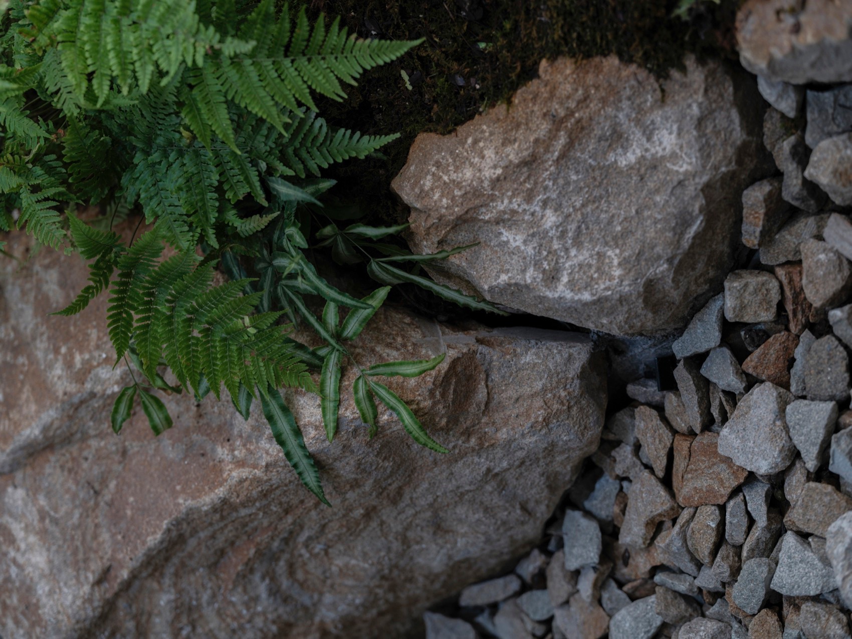 上海桃花源私庭营造丨中国上海丨墨刻丨無言斋造园-68