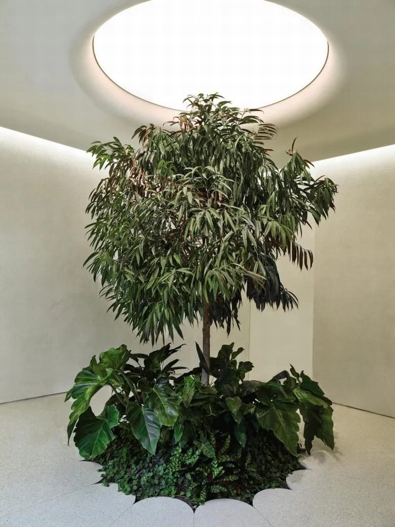 新零售体验店，DAMA沉浸式零售体验店 - 米尚丽零售设计网 MISUNLY- 美好品牌店铺空间发现者-3