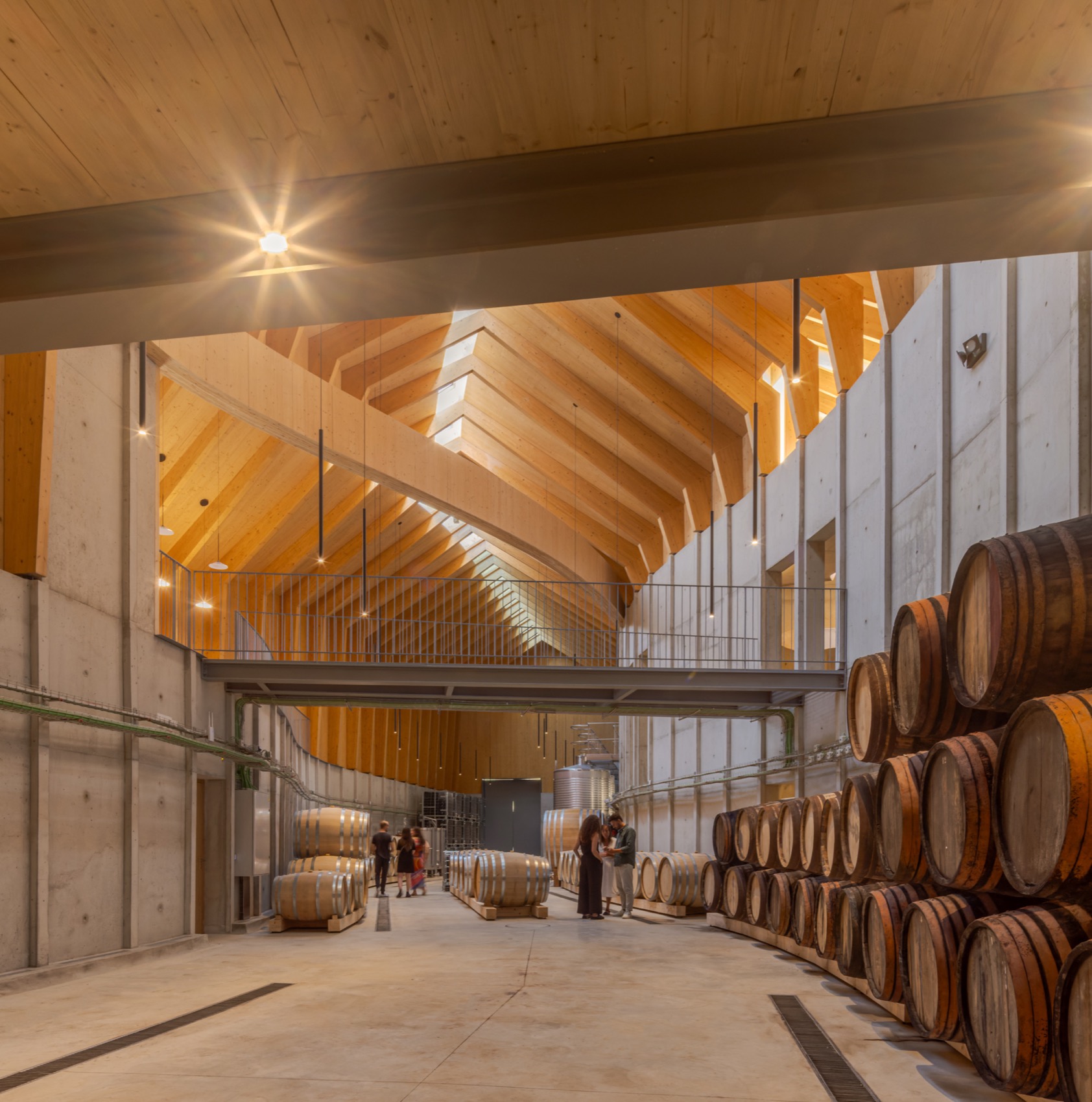 Quinta de Adorigo酒庄丨葡萄牙杜罗丨Atelier Sergio Rebelo等多家团队及个人-174