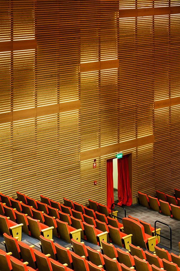 Iguatemi Campinas 剧院设计-5