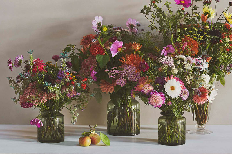 仙女百里香酒店-9