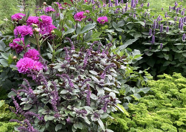 2023 年霍特尔州立花园展
注:Hö·ter可能是一个特定地点名称,若有更准确的信息或标准译法,可按需调整 丨Büro Christian Meyer-7