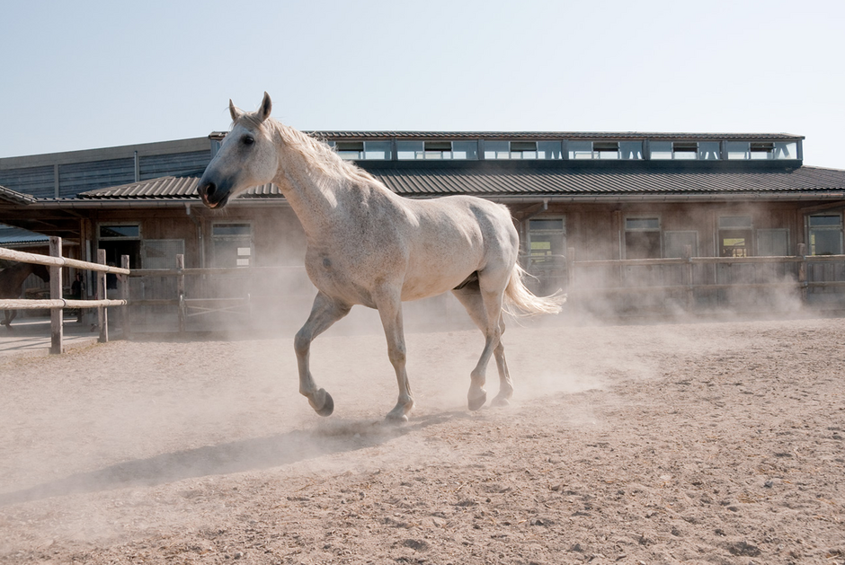 1999 La Maison Rouge Les Bois | Atelier 5 - Architekten und Planer AG-14