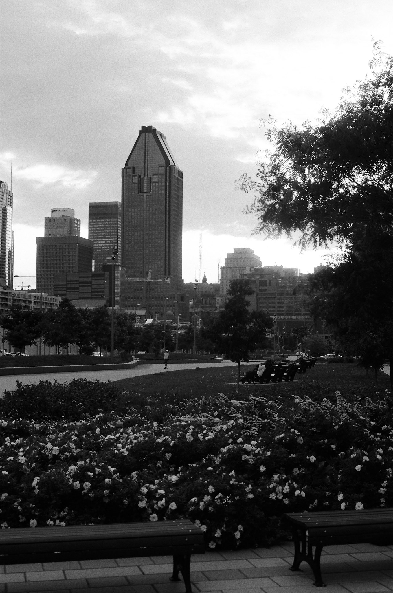 Scenes from Montréal-16