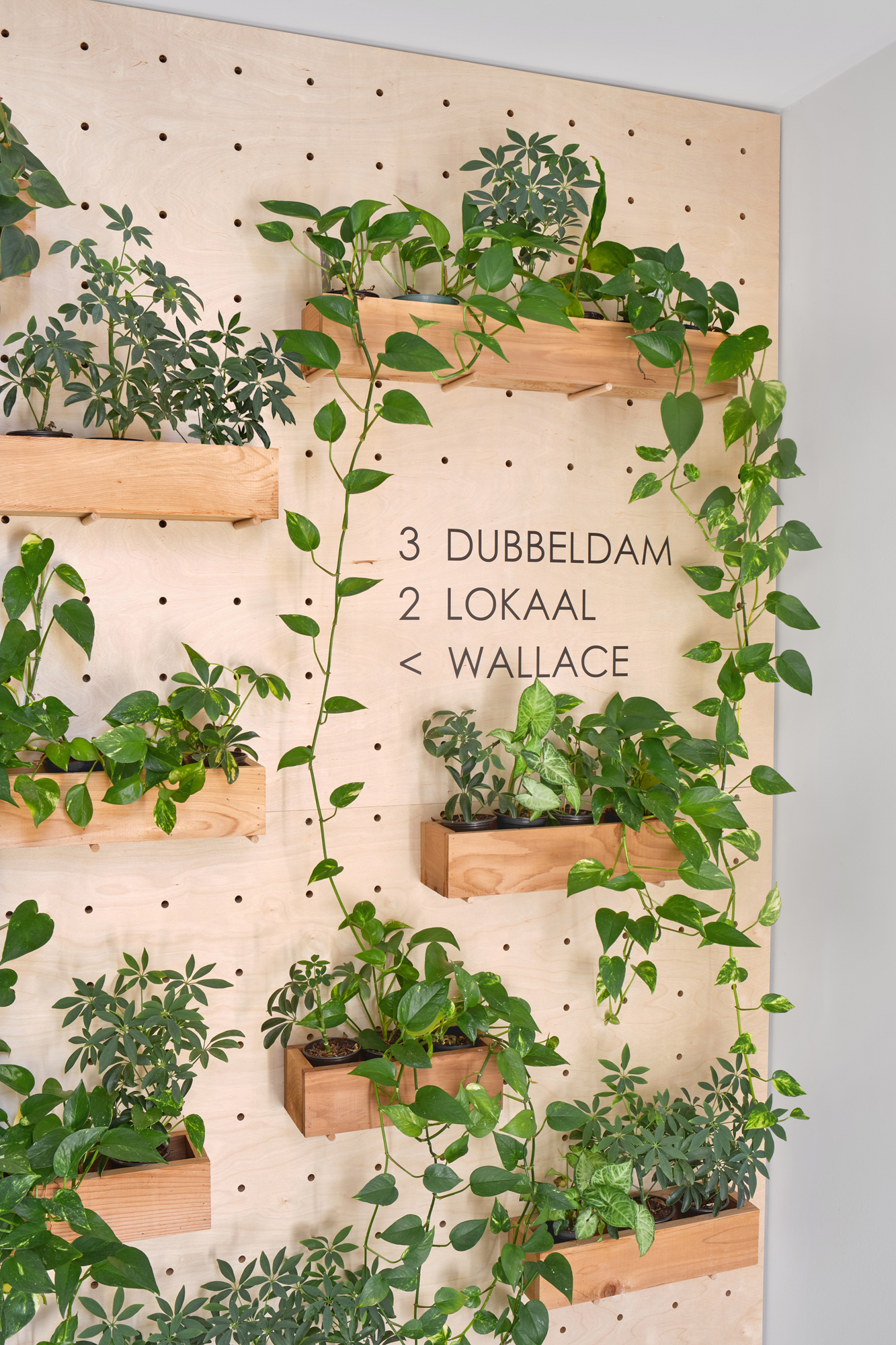 多功能创意社区丨Dubbeldam Architecture + Design-18