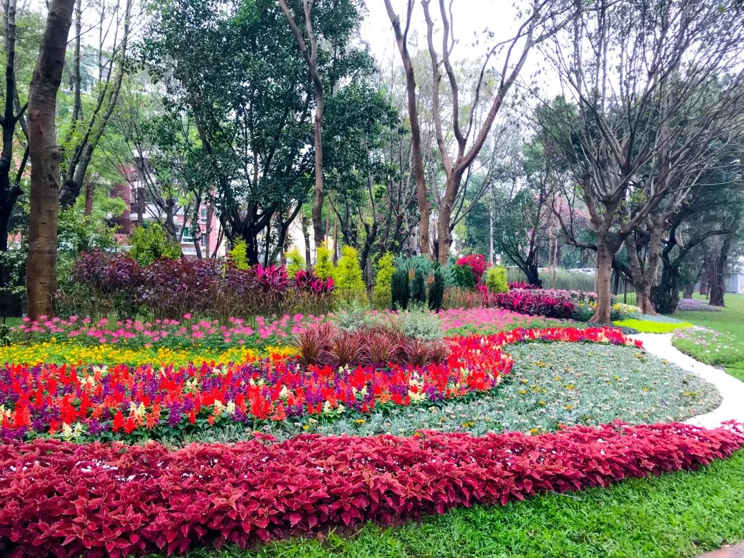 云山雅境,花园会议——广州白云国际会议中心-49